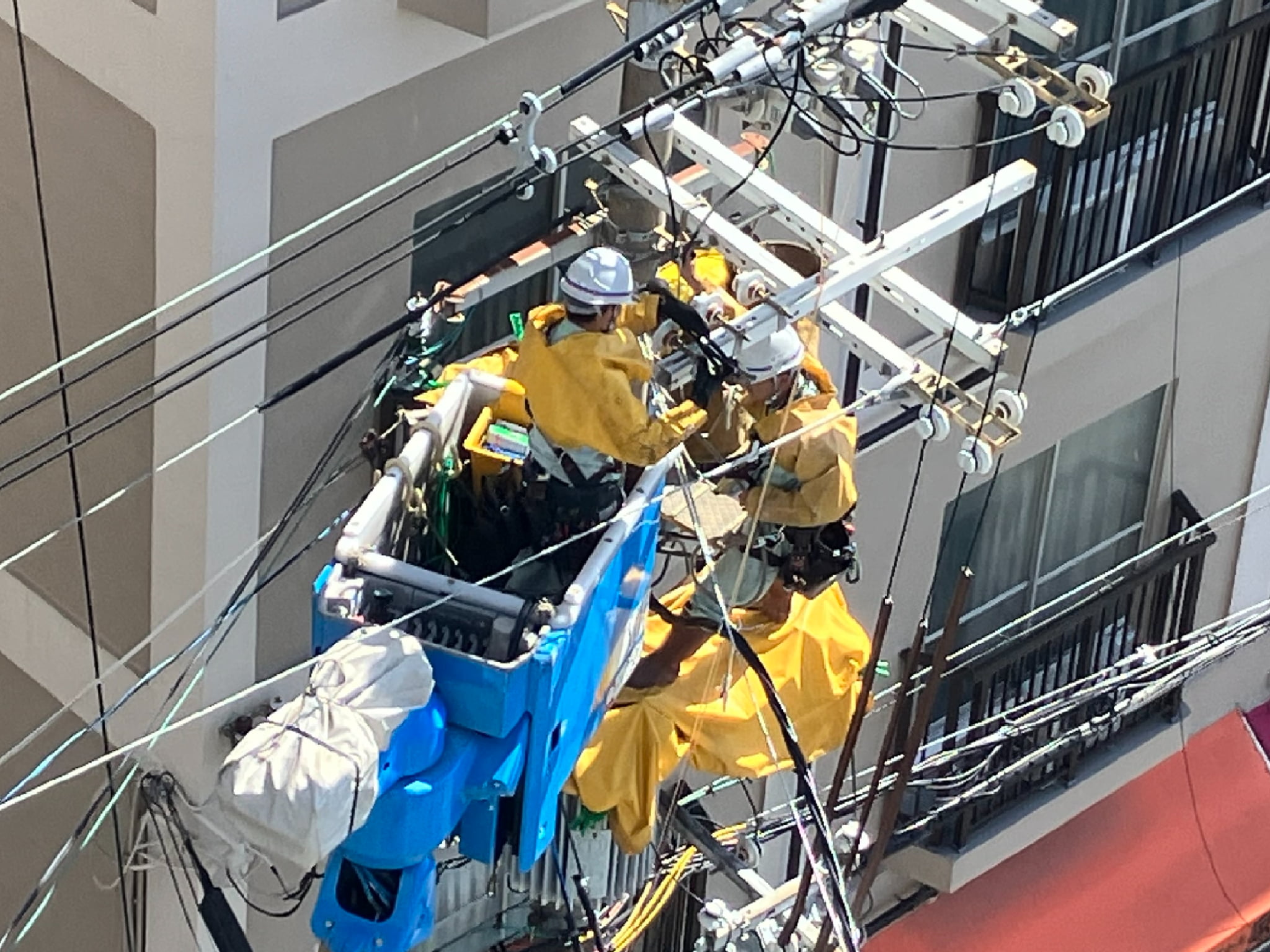 事業内容